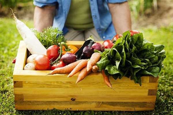 El producto orgánico es un alimento agrícola o agroindustrial que se produce mediante un conjunto de procedimientos denominados ecológicos.