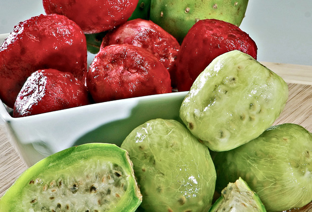 El fruto derivado del nopal sigue ganando popularidad como alimento veraniego en regiones del país estadounidense.