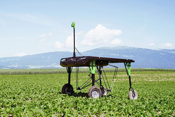 La Inteligencia Artificial permitirá detectar las malas hierbas en los campos de cultivo.