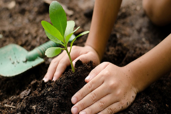 La agricultura comprende el conjunto de acciones humanas que transforman el medio ambiente para satisfacer sus necesidades.