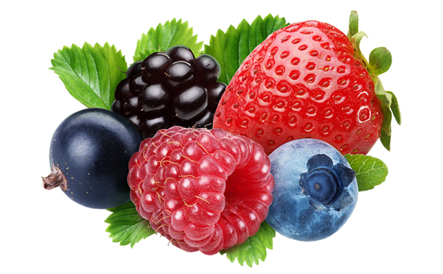 Dentro del cultivo de berries se encuentran incluidos los arándanos, fresa, frambuesa y zarzamora.