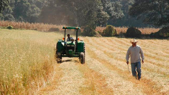 El principal objetivo de los productores debe ser intentar evitar o reducir pérdidas pactando los precios con anticipación.