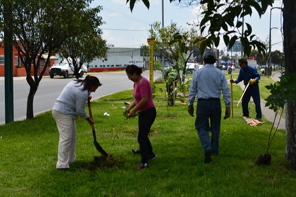 Reforestación por parte del personal Equipartes Agrícolas